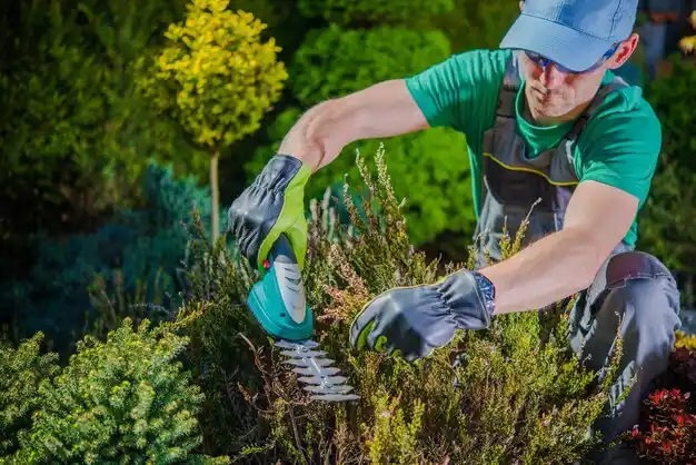 landscaping services Mullen